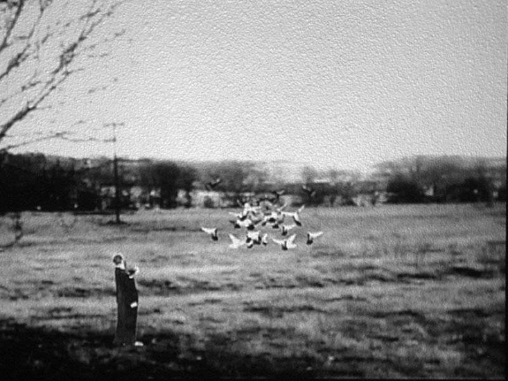 RYAN MROZOWSKI, FILM STUDIES
video