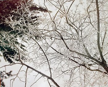 web snow2 LG