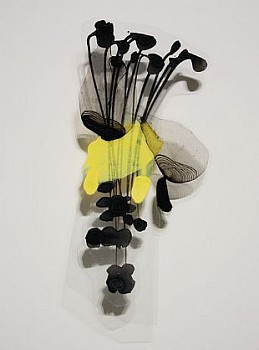 web untitled sproutseep LG