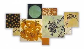 em bumiller full moon 66x120