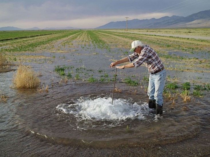 LUCAS FOGLIA, FRONTCOUNTRY DON FLOOD IRRIGATING ALFALFA, DIAMOND VALLEY, NEVADA Ed.8
digital C-print on Fuji Crystal Archive paper