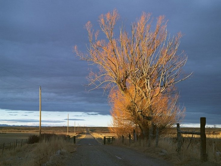 LUCAS FOGLIA, FRONTCOUNTRY DRIVEWAY, 71 RANCH, DEETH, NEVADA Ed.8
digital C-print on Fuji Crystal Archive paper