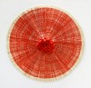 ANN HAMILTON, ciliary
wall-mounted lithograph and fabric assemblage with bamboo support