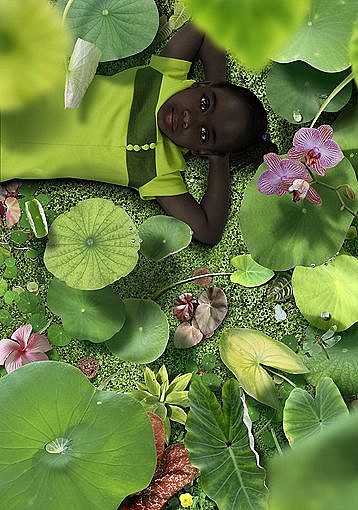 RUUD VAN EMPEL, Dawn 1
C-print face mounted on acrylic sheet