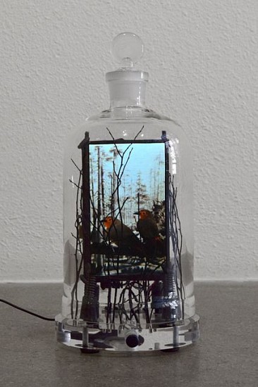 DAVID ZIMMER, CAMP LENA 2
video construction