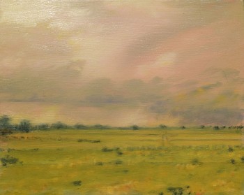 digesu field 8x10