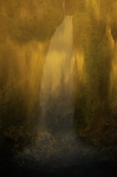 dream.10jim