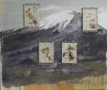 JUDD TheCentralFlaw min