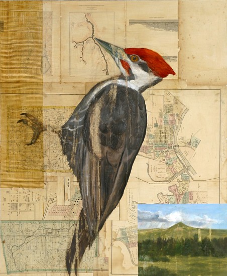 TOM JUDD, WOODPECKER #4
oil, graphite and collage on panel
