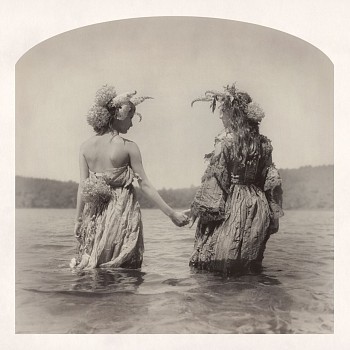 kahn+selesnick florae