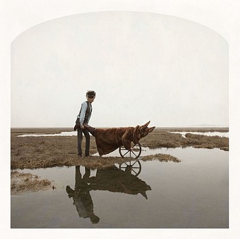KS TheWheelBarrow