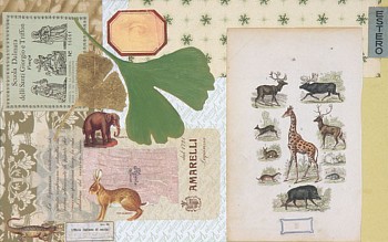 EM CONNELL 5 ANIMALS LEAF