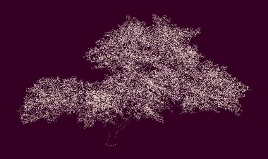 ANDREW MILLNER, 38º 39’ 16.66“N, 90º 18’ 43.6“W (REDBUD)
Lightjet print mounted to UV plex
