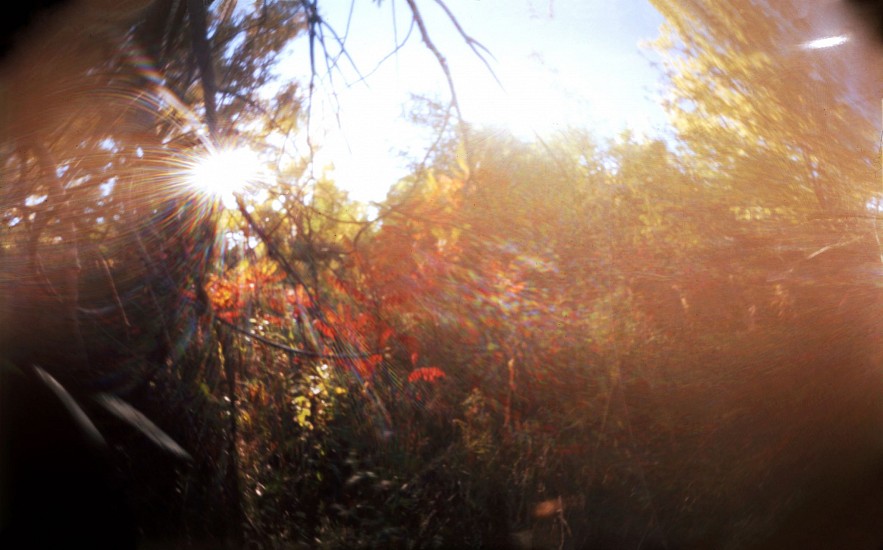 DAVID SHARPE, WATERTHREAD 77
color pinhole photograph