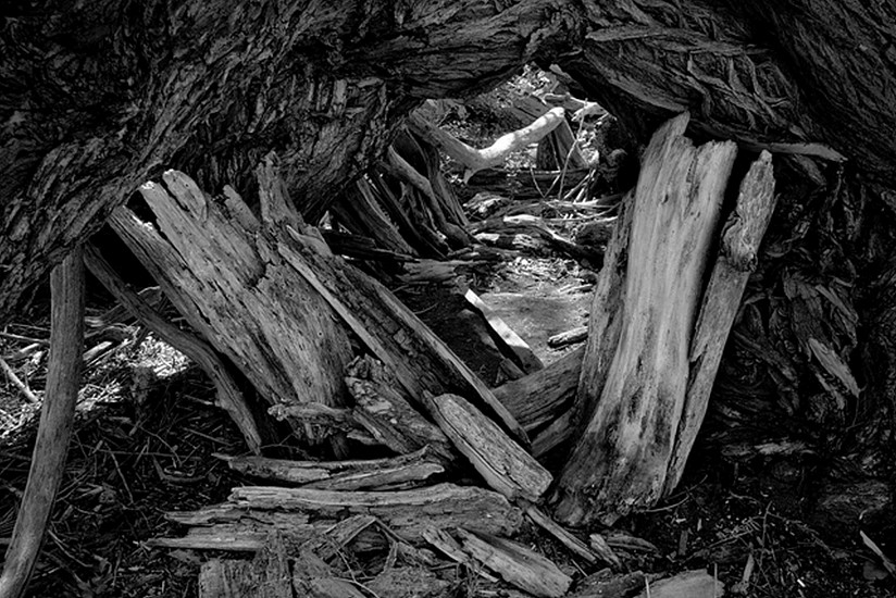 RICHARD VAN PELT, FOUR MILE CANYON CREEK AT PALO PARK, BOULDER, COLORADO 1146
pigment print