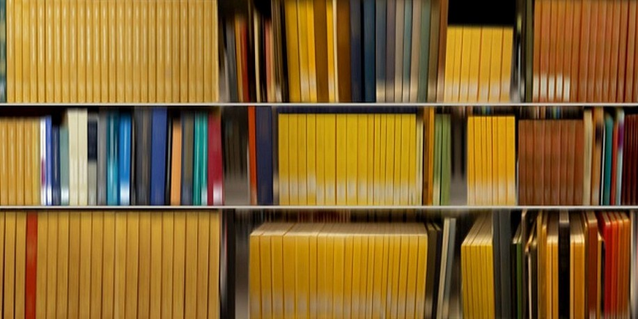 DANAE FALLIERS, LIBRARY 22
pigment print