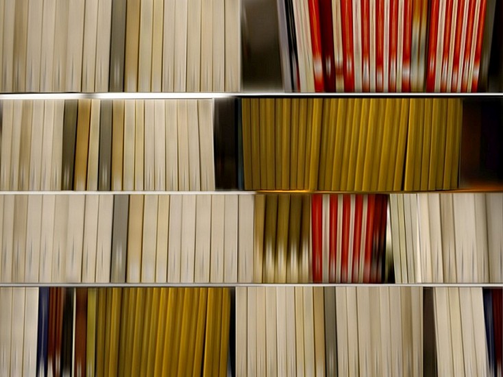 DANAE FALLIERS, LIBRARY 39 (PHYSICS)
pigment print