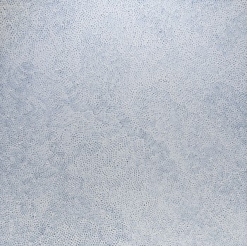 14 KUSAMA WHITE NETS(best)