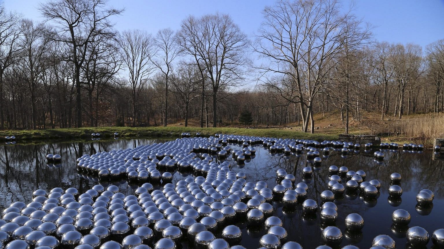 KUSAMA News