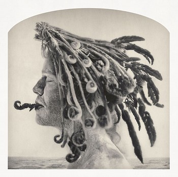 KahnSelesnick Fiddlehead