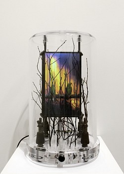 zimmer iamlost zim065