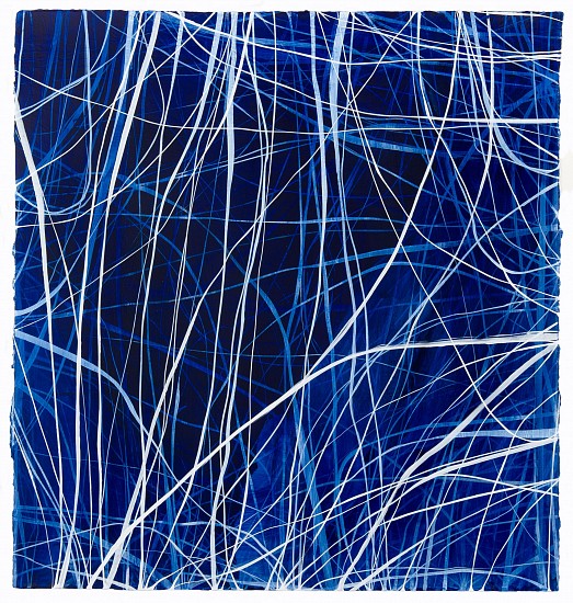 RECENT ARRIVALS, ERIN WIERSMA, "EXAMEN, 1/12/2016"
acrylic on paper