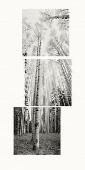 11s188 01c aspens wws berman duo