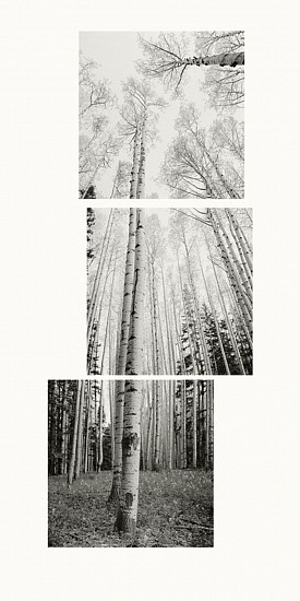 MICHAEL BERMAN, ASPENS WHITEWATER SADDLE Ed. 7
Carbon Pigment Ink on IJ-NKR Niyodo Kozo roll on Natural Paper.