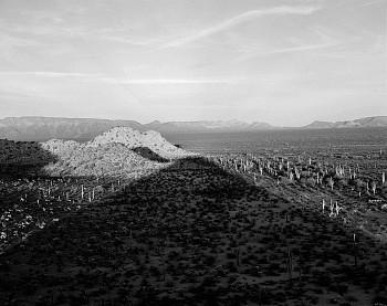 BERMAN ShadowCabezaPrietaNationalWildlifeRefugeArizona
