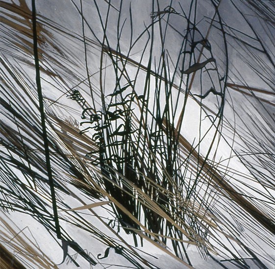 KAREN KITCHEL, DEAD GRASS 4, WINTER
oil on panel