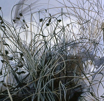 web Dead Grass Winter 05