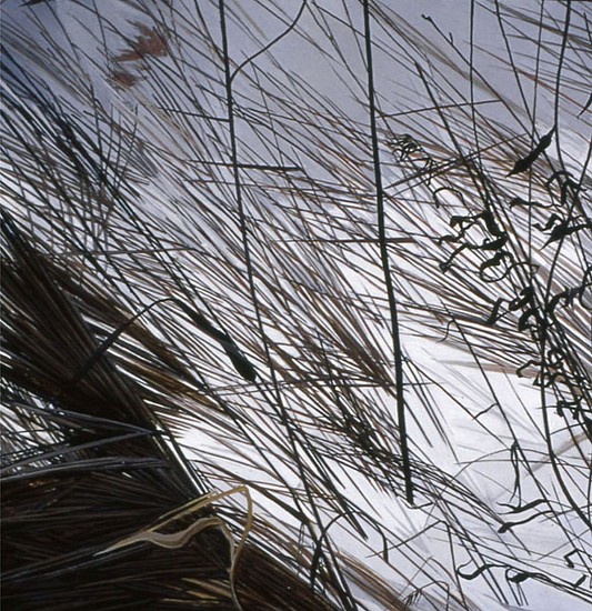 KAREN KITCHEL, DEAD GRASS 8, WINTER
oil on panel