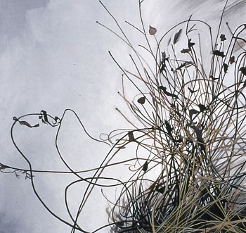 web Dead Grass Winter 09