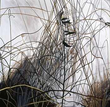 web Dead Grass Winter 10