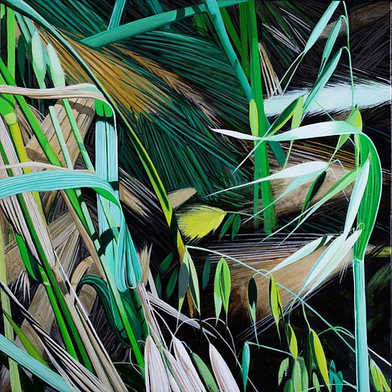 KAREN KITCHEL, MATURE GRASS 1, SUMMER
oil on panel