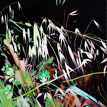 web Mature Grass Summer