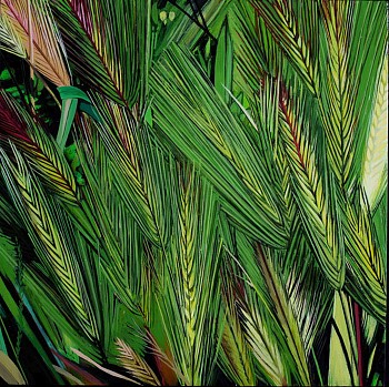 web Mature Grass Summer