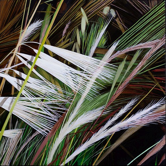 KAREN KITCHEL, MATURE GRASS 6, SUMMER
oil on panel