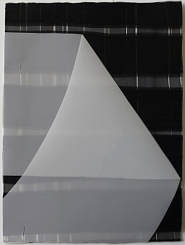 fold #2