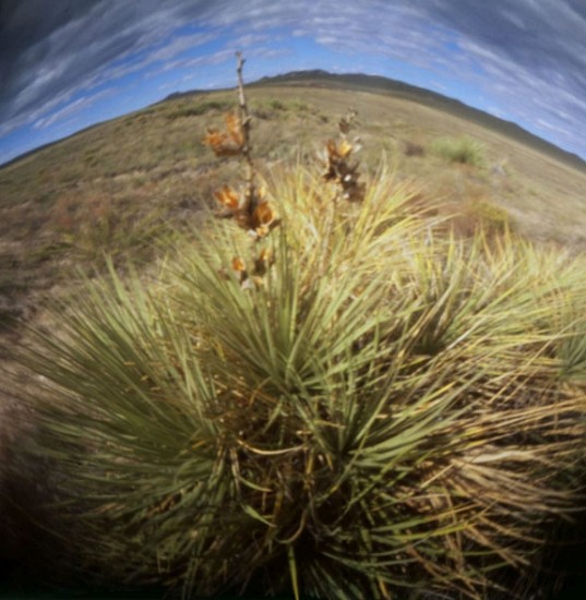 DAVID SHARPE, EASTERN PHENOMENA 8
pinhole photograph