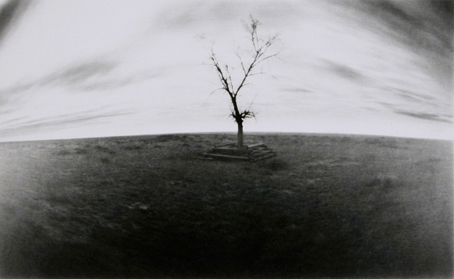 DAVID SHARPE, LOST ALTAR 1
pinhole silver print