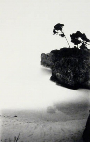 DAVID SHARPE, MENDOCINO 1.1
silver gelatin print