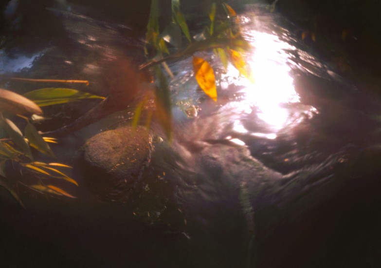 DAVID SHARPE, WATERTHREAD 42
color pinhole photograph