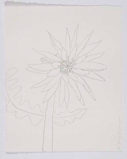 ANA MARIA HERNANDO, SAN PEDRO FLOWER I
Graphite on Paper