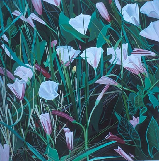 KAREN KITCHEL, Field Bindweed #7
oil on wood