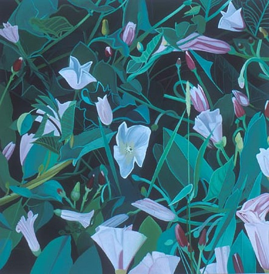 KAREN KITCHEL, Field Bindweed #11
oil on wood