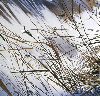 web Dead Grass Winter 02