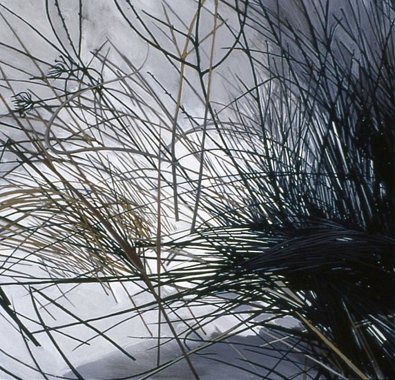 KAREN KITCHEL, DEAD GRASS 3, WINTER
oil on panel