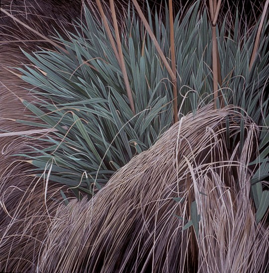 KAREN KITCHEL, BIG BUNCH #2
oil on panel