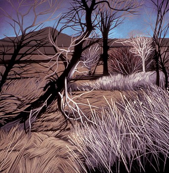 WEB KITCHEL BLUESKYWITHDEALLEANINGTREE 12X12